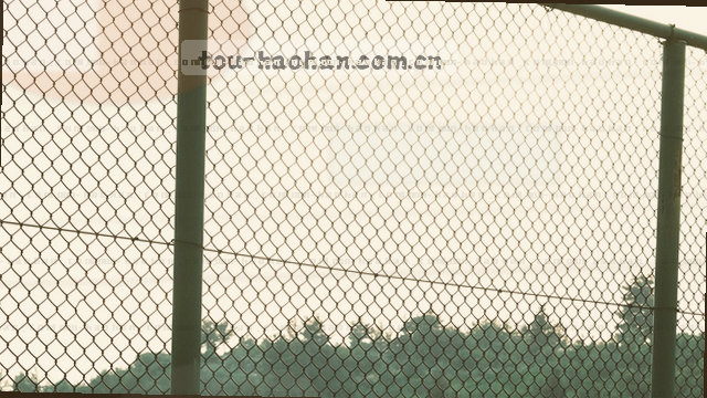 懂你所需